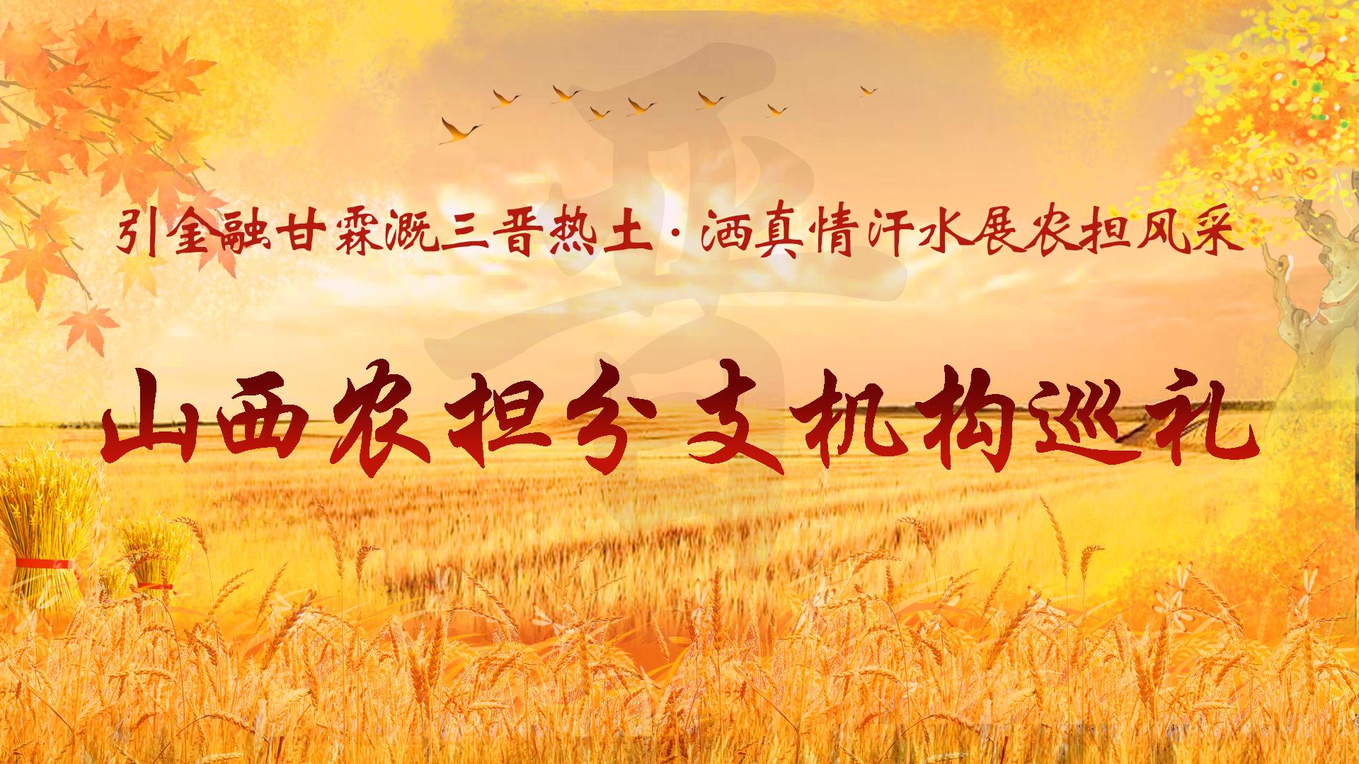 微信图片_20200107104044.jpg 微信图片_20200107104044.jpg